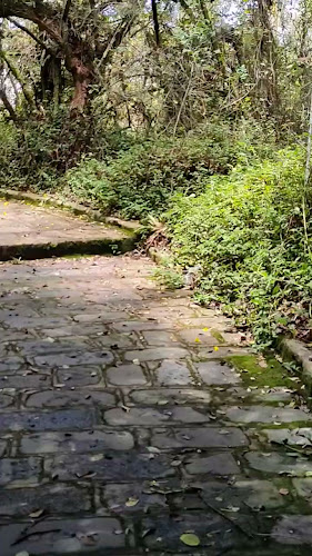 Quinta de Juan León Mera - Museo