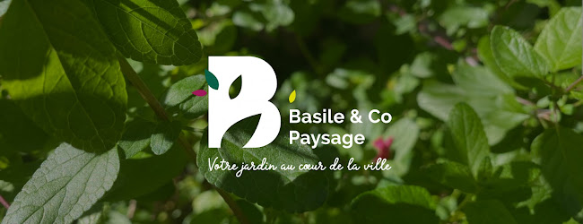 Basile Paysage