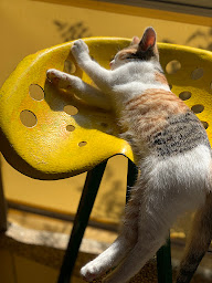 Photo n°50 de Restaurant Le Perdigat à Limeuil (Restaurant)