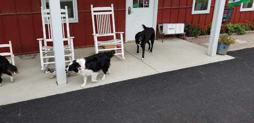 Wildcat Valley Animal Clinic - Thumbnail
