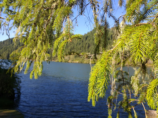Umpqua Wayside - Visual