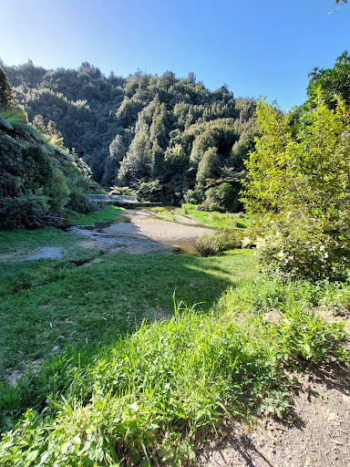 Belmont Regional Park Carpark Oakleigh St Gallery - New Zealand