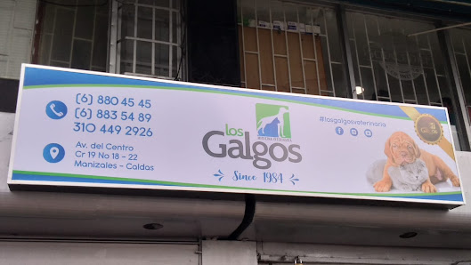 Fotografía de Clinica Veterinaria Los Galgos Todas