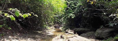 Photos of নেপাল তলী