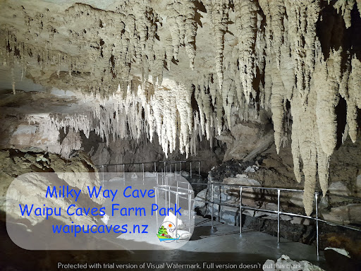 Milky Way Glow Worm Cave