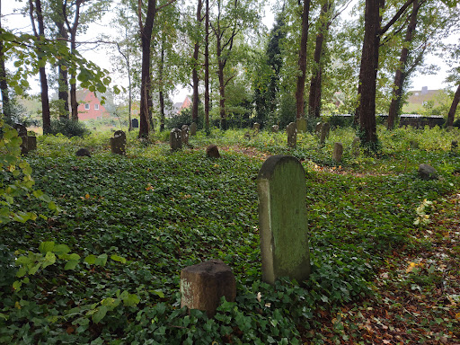 Jüdischer Friedhof Westerrönfeld - Thumbnail
