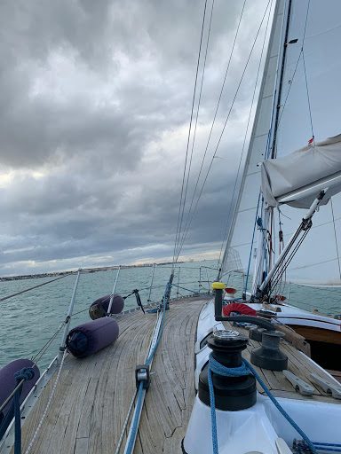 sailing from Trani - Thumbnail