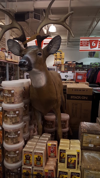 Photos of TSC Stores