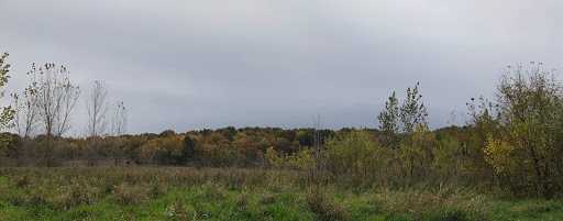 ParkLands Kenyon-Baller Woods Preserve - Thumbnail