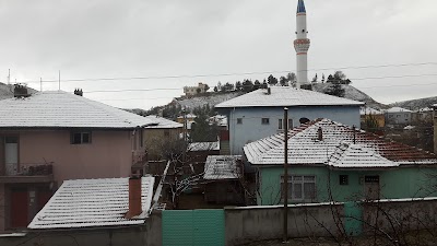 Şefaatli Castle