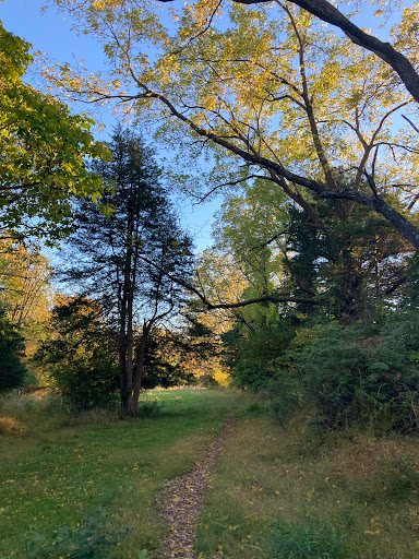Heckler Plains Nature Trail Trailhead - Thumbnail