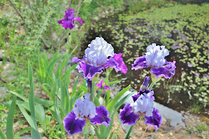 Photo n°24 de Gîte insolite La mine d'or à Gagnières (Lodge)