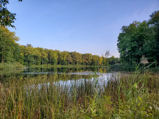 Seneca Ponds - Visual