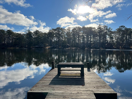 Explore Harris County - Visual