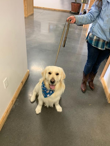 Happy Tails Pet Salon - Thumbnail
