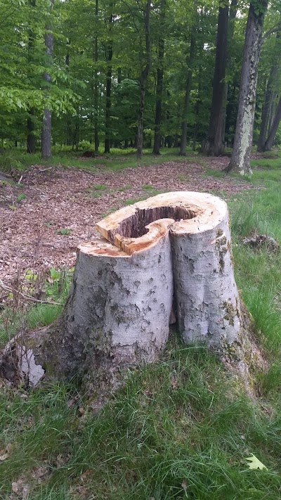 Photos of Treasure Lake Golf Resort - Gold Course
