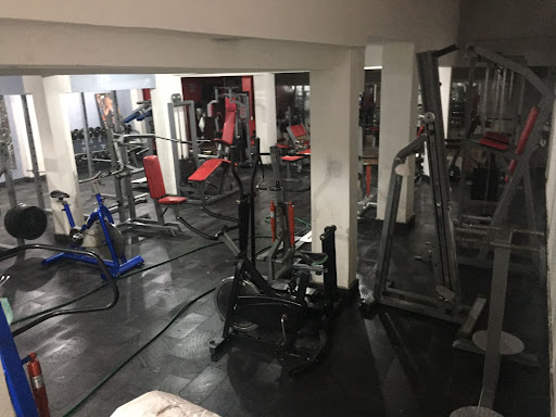 Bengal Tiger Gym - Thumbnail