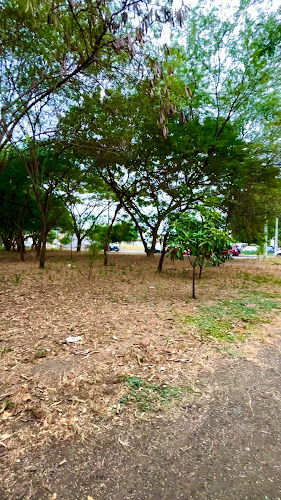 Cancha Olivos II