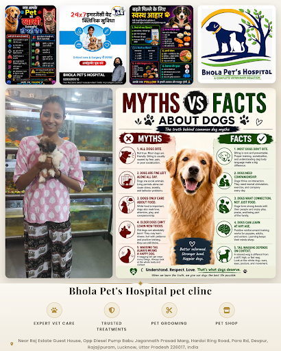 Bhola Pet's Hospital offers expert pet care at a trusted pet clinic with experienced veterinarian… post image