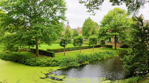 Stadspark - Visual