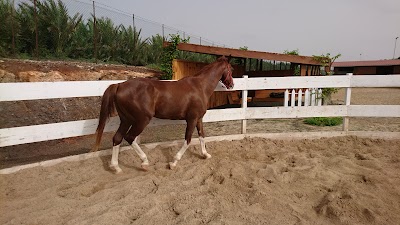 Photos of Santa Marilha Horse Excursions