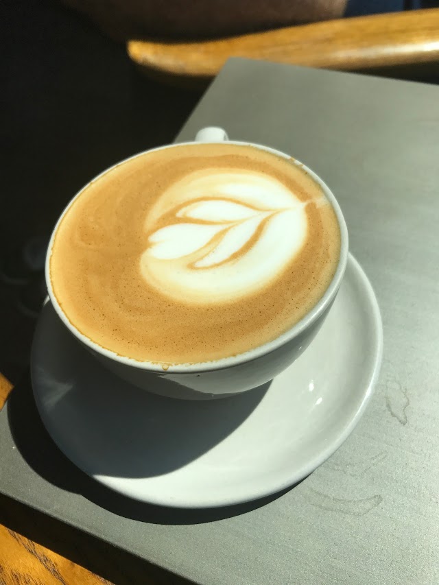 Revelator Coffee Company