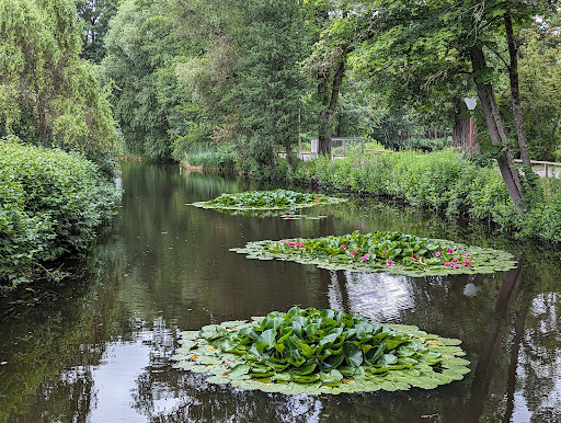 Valznerweiher - Visual