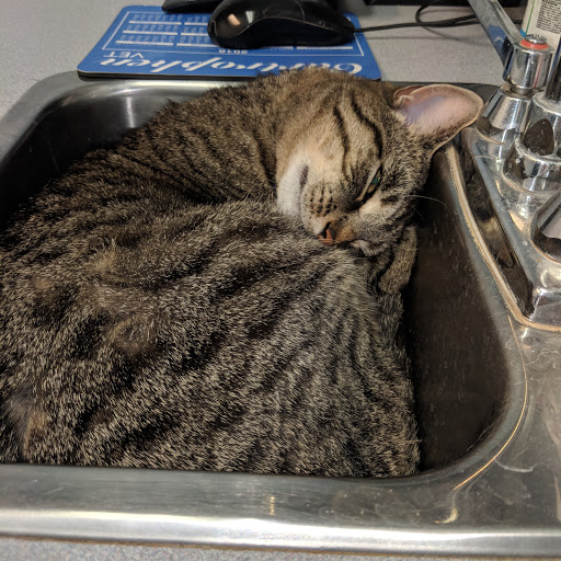 Carleton Veterinary Services - Visual