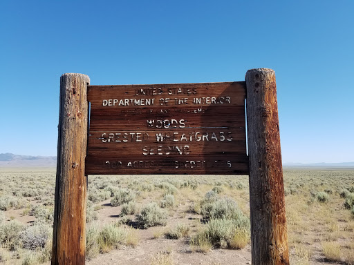 Bean Flat Rest Area - Visual
