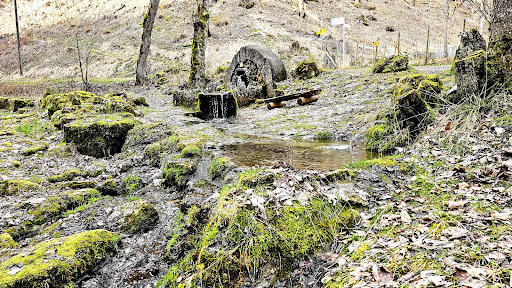 Grauentalquelle und Brücklebrunnen - Thumbnail