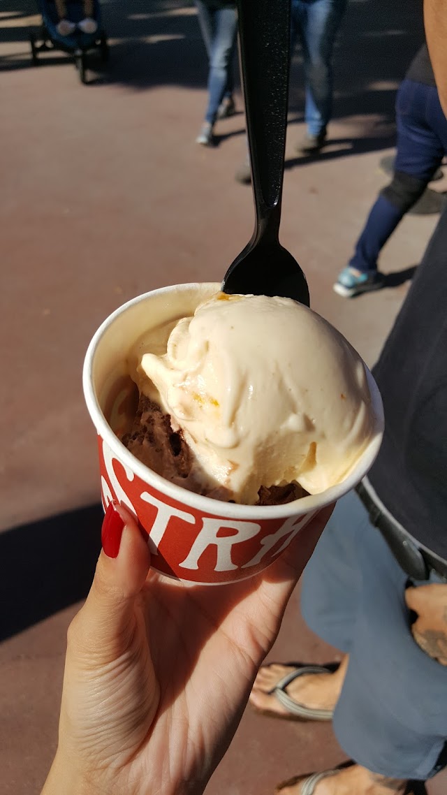 Salt & Straw