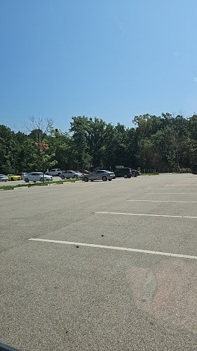 Parkman's Plain - Visual