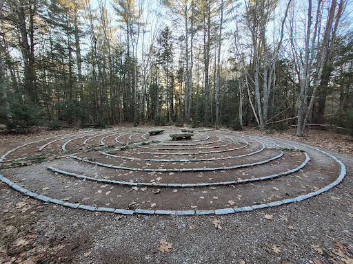 Labyrinth in the Woods