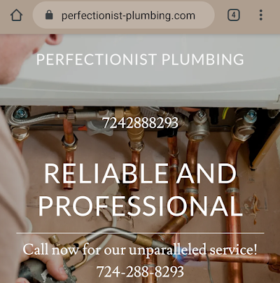 Perfectionist Plumbing LLC.