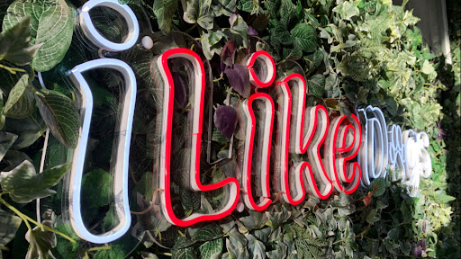 iLikeDogs - Visual
