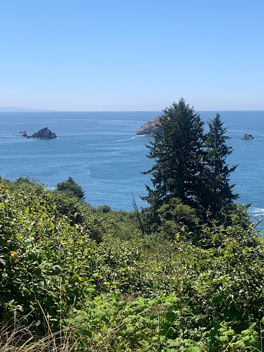 Del Norte Coast Redwoods State Park - Thumbnail