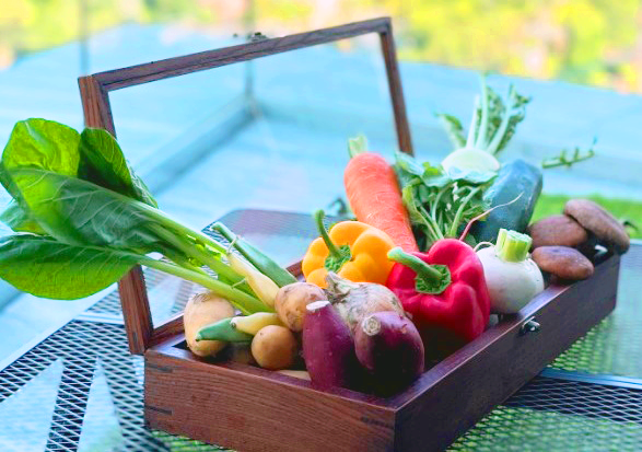 SACULA DINER(サクラダイナー)