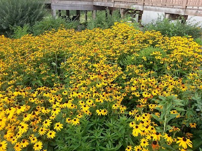 Lake Iowa Park (Iowa County Conservation)