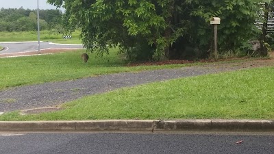 Photos of Woolworths Mission Beach