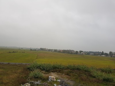 Photos of هتل آپارتمان اکسین