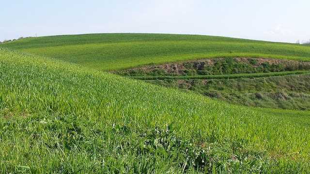 Punta Aderci