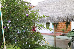 Restaurante Manjar Marino 4