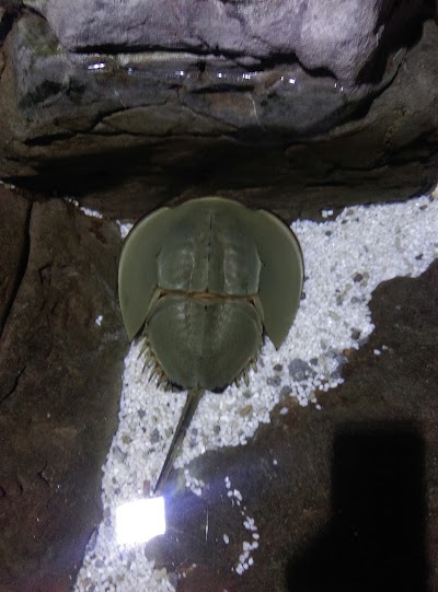 Photos of Zhengzhou Aquarium