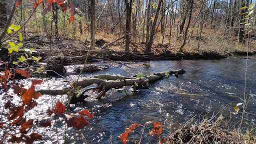 Scantic River State Park East