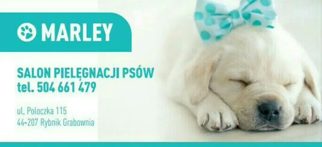 Opinie o Salon Pielęgnacji i Hotel Dla Psów "Marley" w Rybnik - Inny