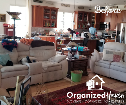 Organized Haven - Visual