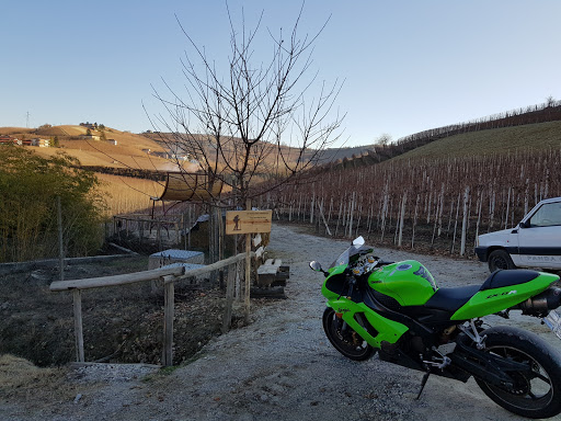 Montefico - Visual