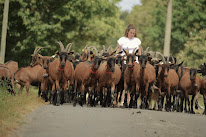 Le Petit Saint-Poisien à Saint-Pois