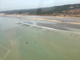 Photo n°9 de STEPHANE DEWITTE - Moule de Bouchot du Mont Saint-Frieux à Nesles (Siège social)