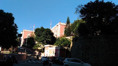Photos of S. Francisco Garden